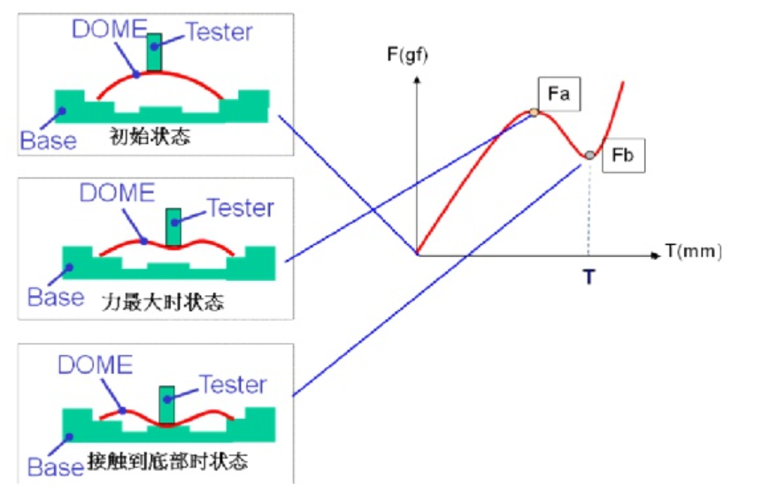 輕觸開(kāi)關(guān)被施加壓力時(shí)其反作用力的變化過(guò)程